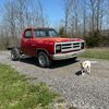 bryer_drees