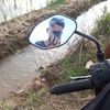radin_ajh21