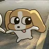 huynhthanhtrung1