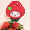 mayachiatoo
