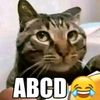 bubu_abcd