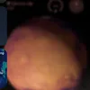 xdxdxd12106