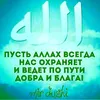 🌹💗❤☝️🕋💘Алхамдулиллах☝️🕋🌹
