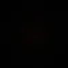 brabra_442