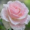 madame.jeanet