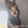 cheskapauleensison
