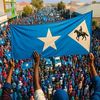 mohaabdi660