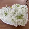 blume_.isa.bella