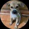 changhale_