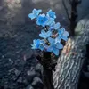 tubepnhua