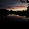 stevenwade3
