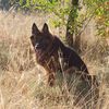 svetlana_2912