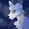 shiftycollie