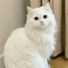 melisaxasq