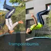 trampolinbumis