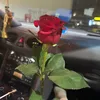 alisy2345