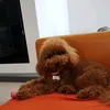 francescomaurell