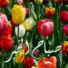 user9605204673546