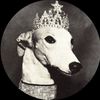 phoebeandprince