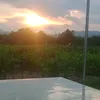 tanhmangvan