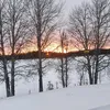 theolidr