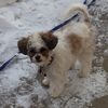 inge_1226