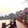 huong_nt00