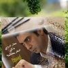 أبو ياسر