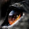 darkest_28
