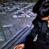 daplodisini_