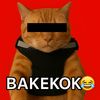 zeks0178