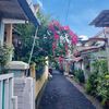 nas_tyas