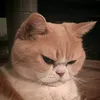 ntdh_03