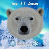 valentina_11_icebear