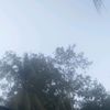 tary_dian23