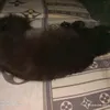 .mhjywhk