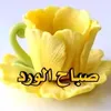 __alsayed