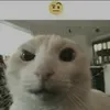 emperor_matiq