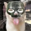 puuhis09