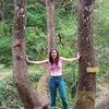 nikol_mark_