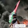 beybii_3001