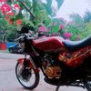 ryzal637
