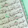 salwa.20174
