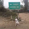 supay_dogo_ar