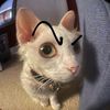 imfoxy9