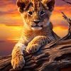 ilham.khanj6