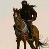 saad13698