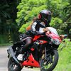 9494_fox