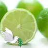 huylemon0