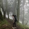 wildnrmd